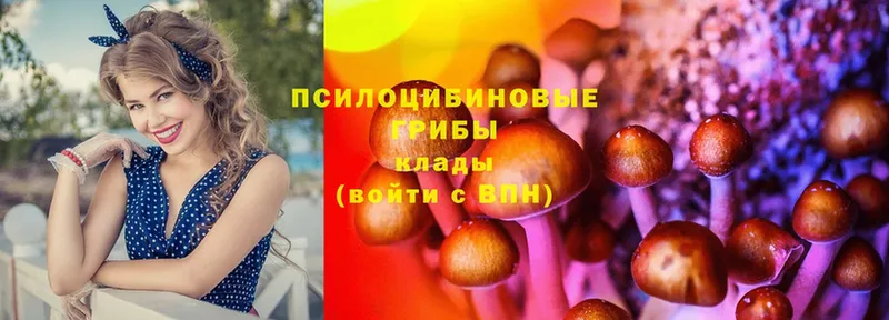 хочу   Шацк  Галлюциногенные грибы мицелий 